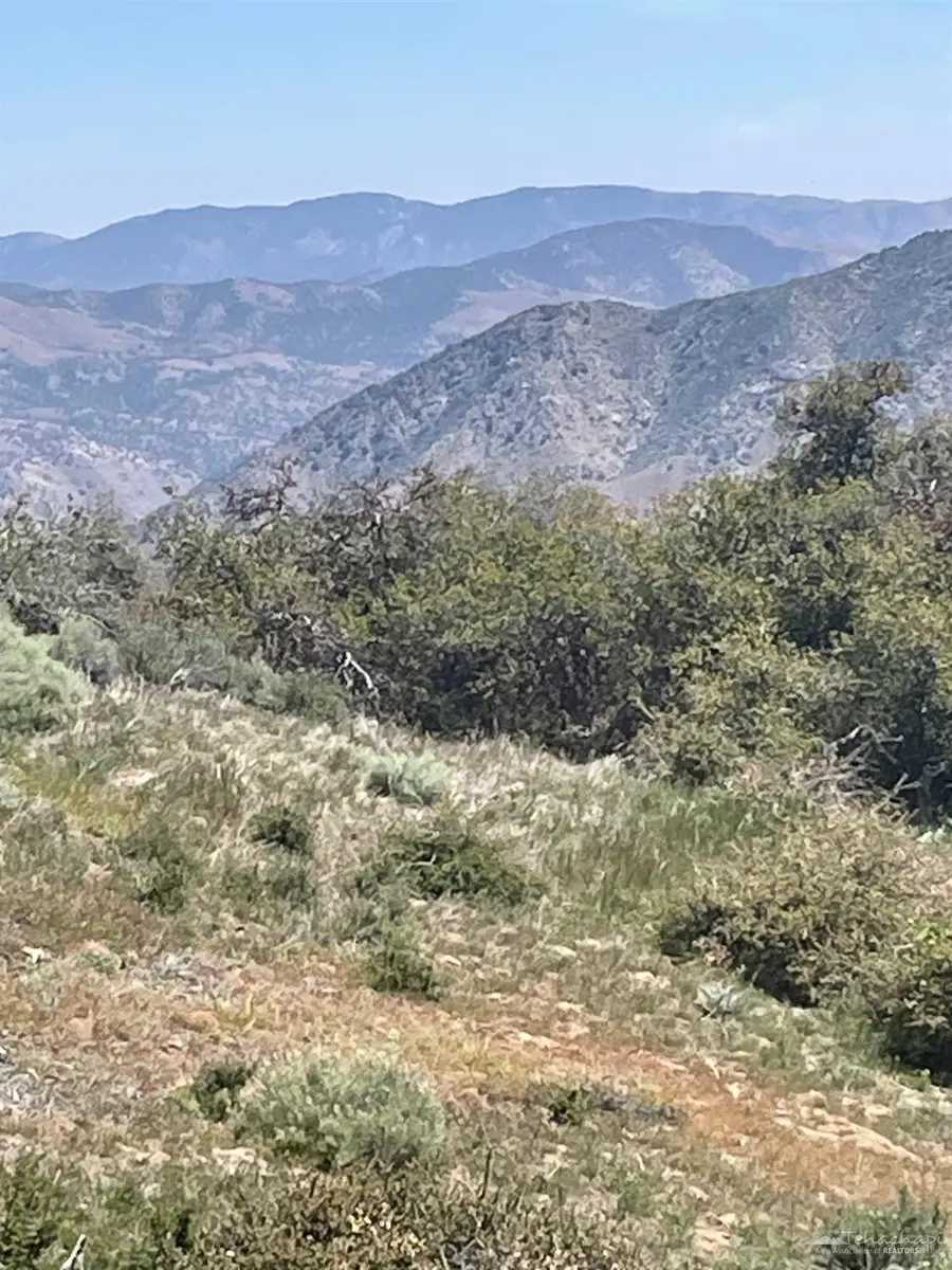 25260 Jacaranda Drive, Tehachapi, CA 93561 - #2