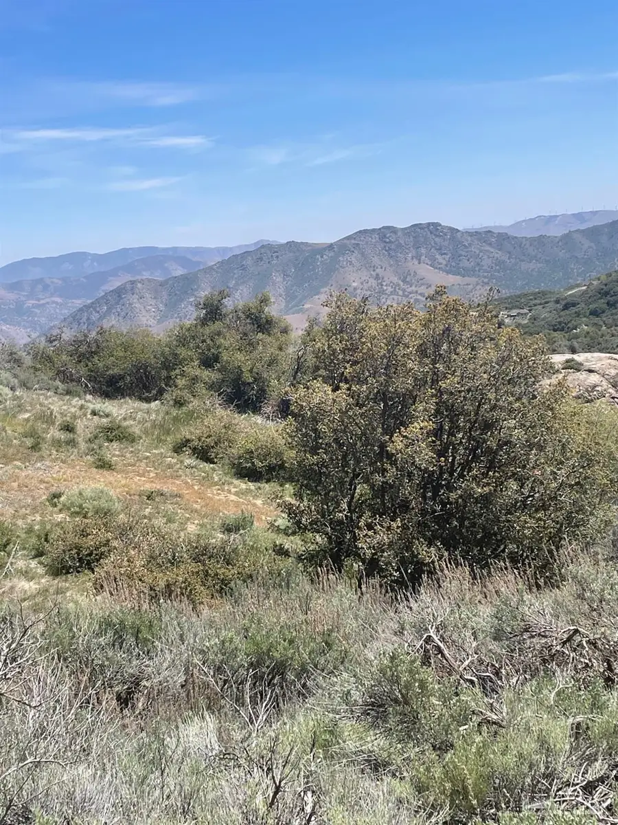 25260 Jacaranda Drive, Tehachapi, CA 93561 - #3
