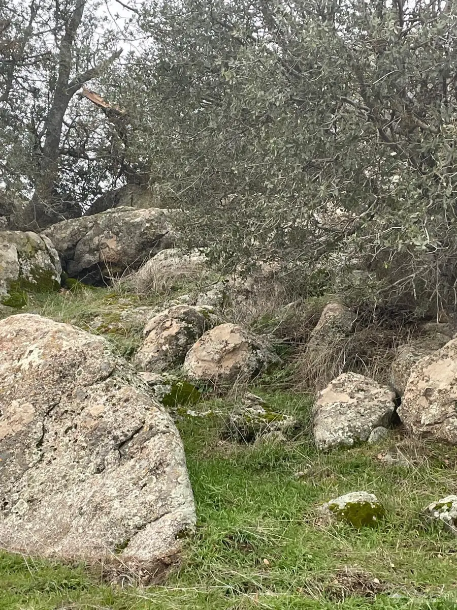 29661 Alejandro Court, Tehachapi, CA 93561 - #3