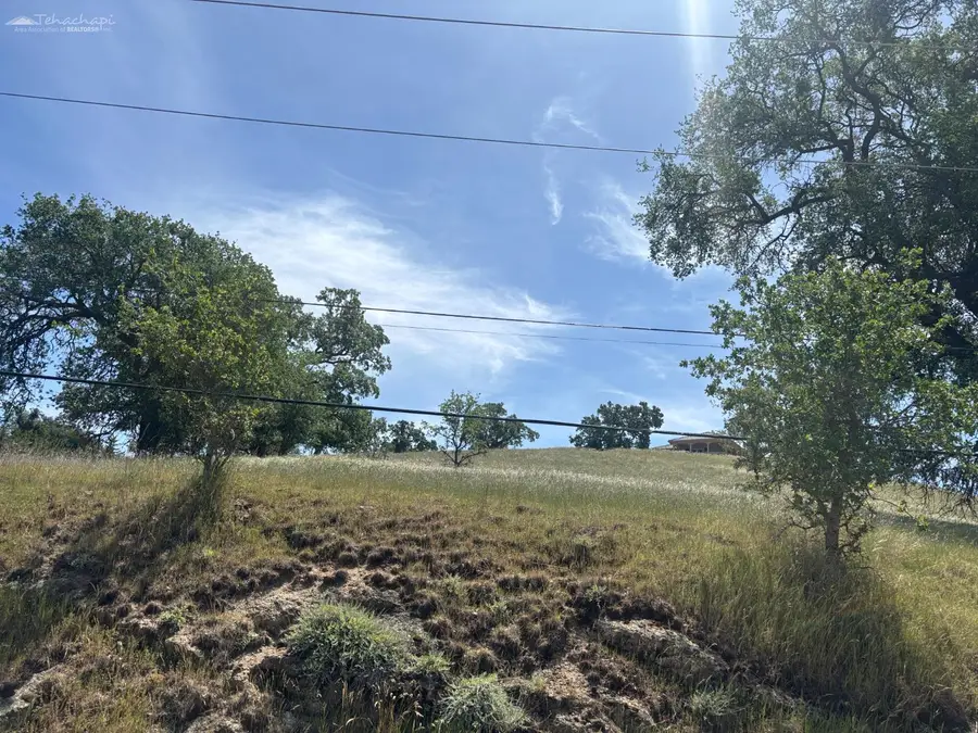 0 Buckskin Drive, Tehachapi, CA 93561 - #3