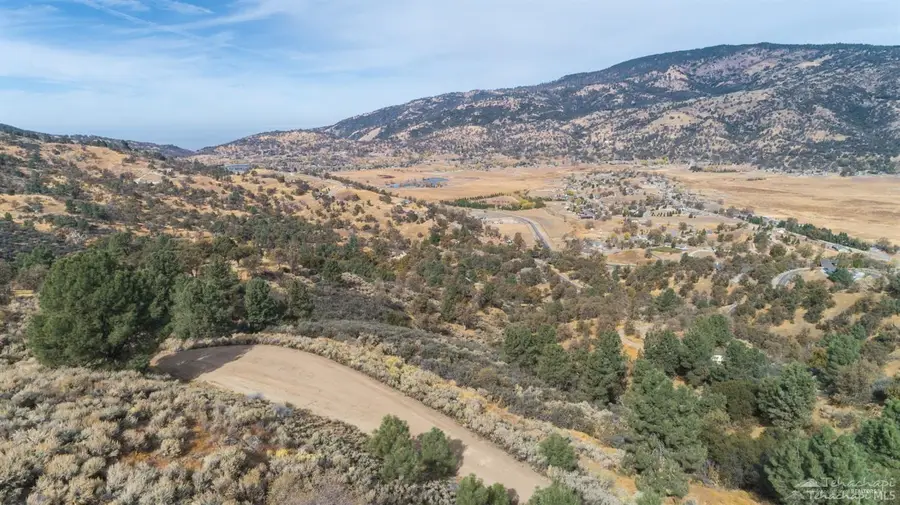 22451 Saddleback Drive, Tehachapi, CA 93561 - #2