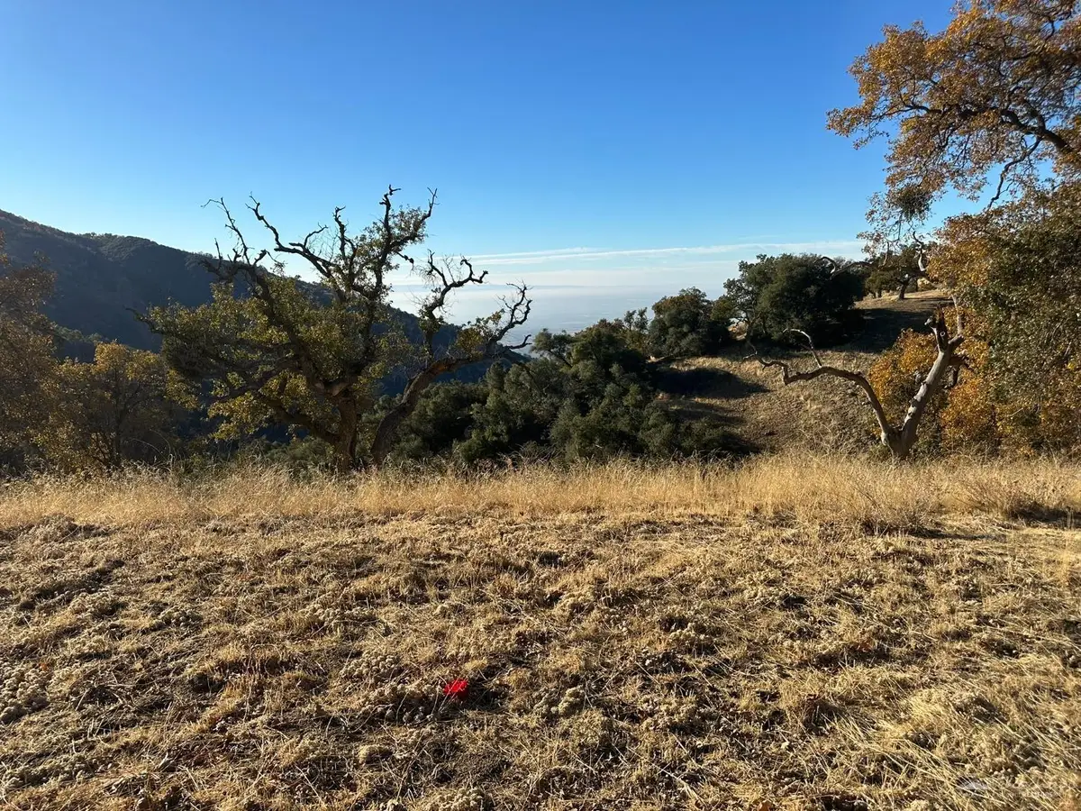 30310 Rolling Oak Drive, Tehachapi, CA 93561 - #1