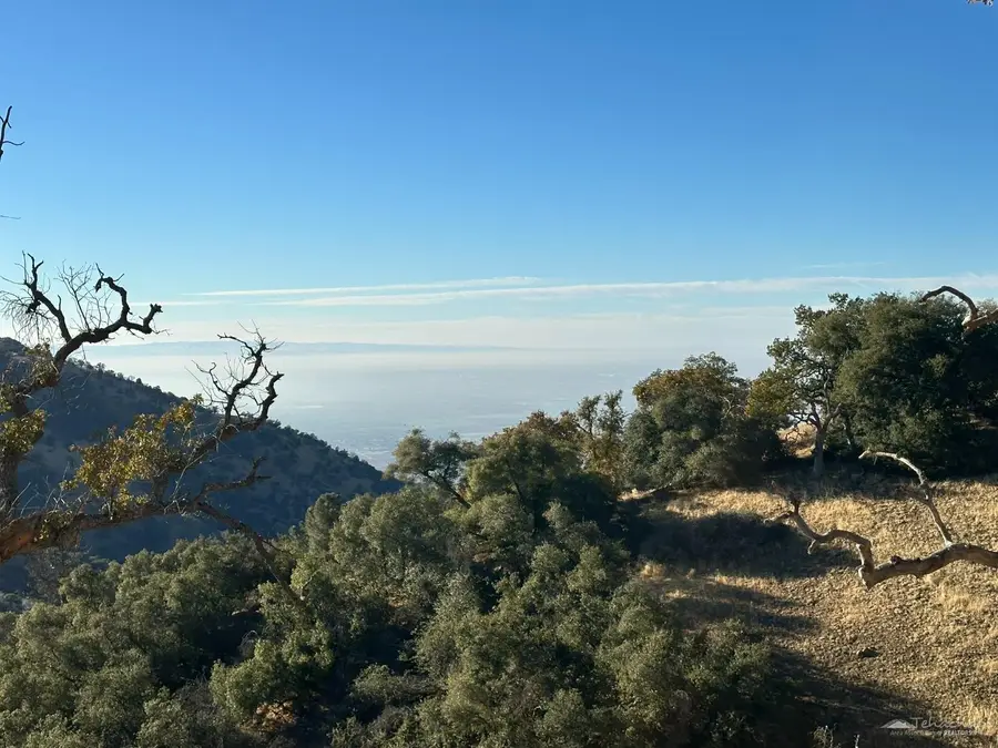 30310 Rolling Oak Drive, Tehachapi, CA 93561 - #3