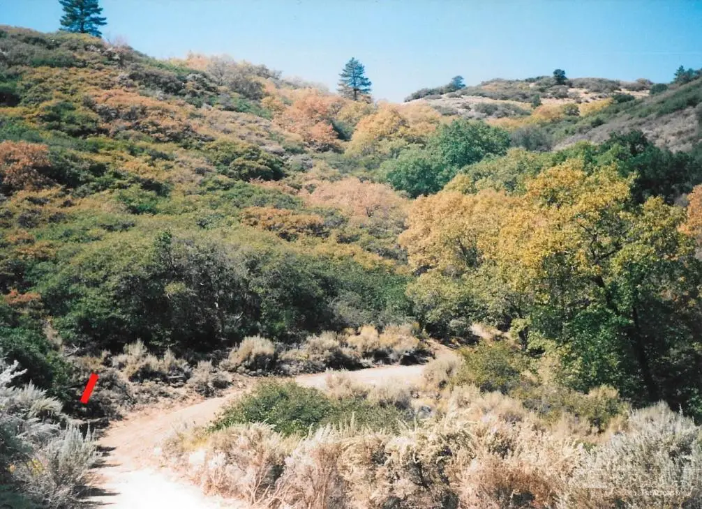 121 Bernina Way, Tehachapi, CA 93561 - #1