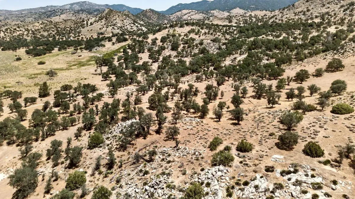 0 Big Springs Dr, Lot 9, Caliente, CA 93518 - #1