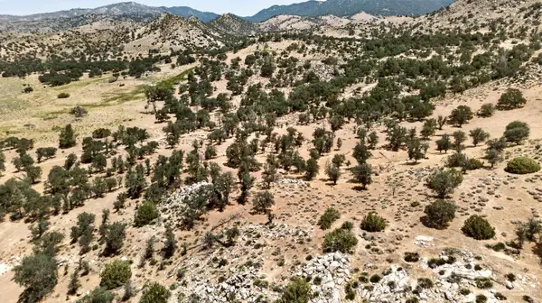 0 Big Springs Dr, Lot 9, Caliente, CA 93518