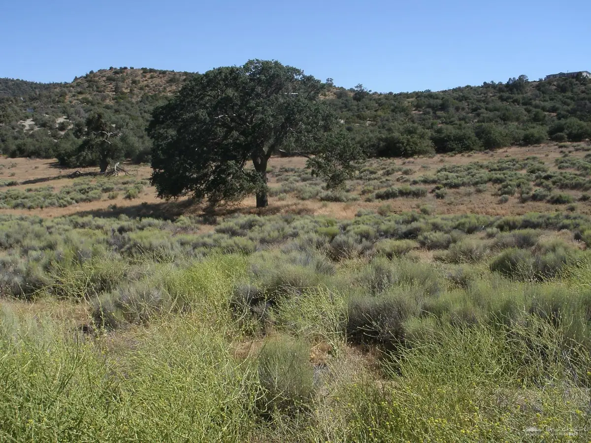 0 Umtali Road, Tehachapi, CA 93561 - #1