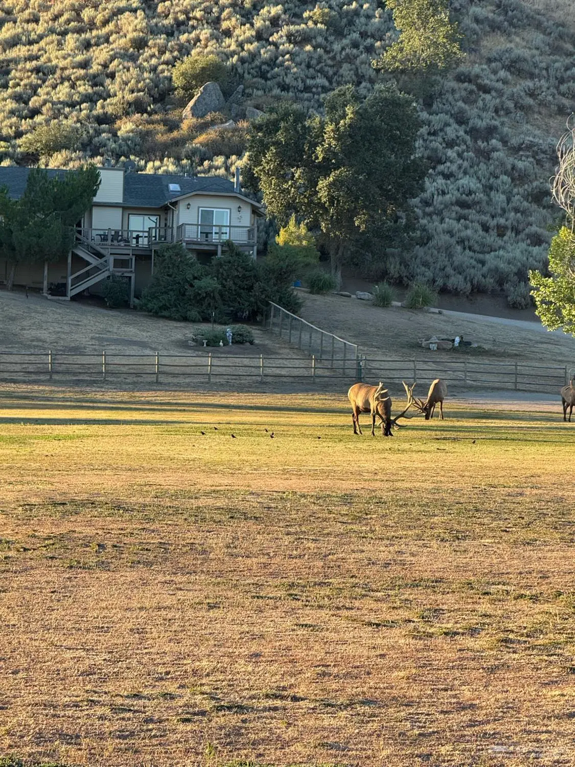 29640 S Lower Valley Road, Tehachapi, CA 93561 - #1