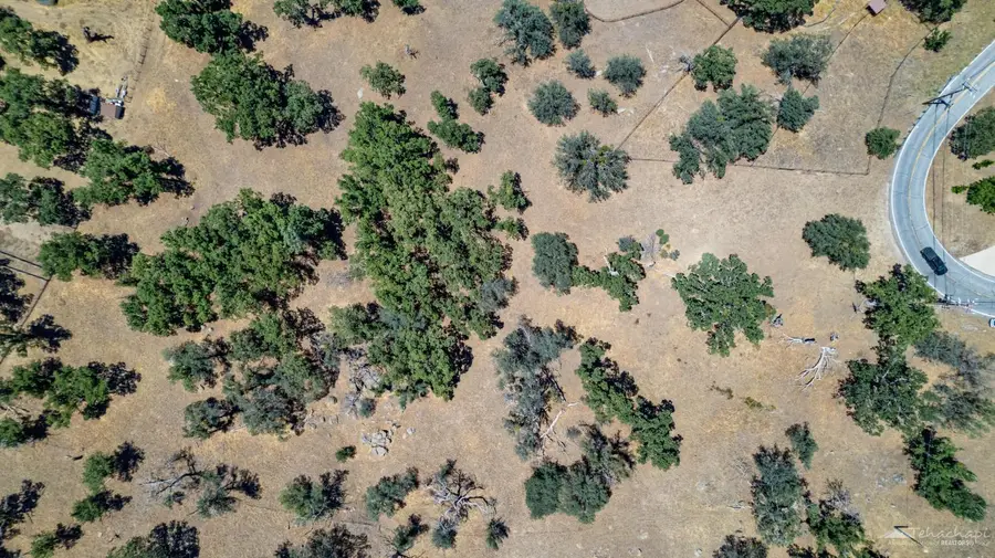 24590 Deertrail Drive, Tehachapi, CA 93561 - #2