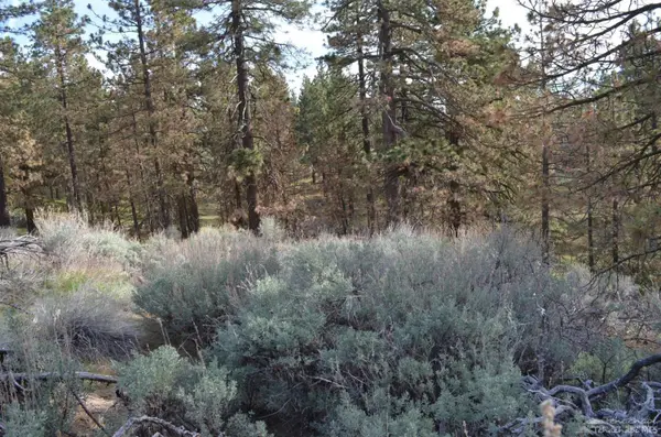 25700 Paramount, Tehachapi, CA 93561