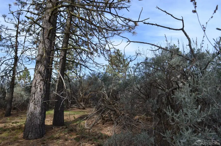 25700 Paramount, Tehachapi, CA 93561 - #3