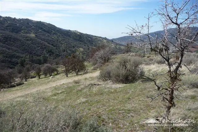 22401 Saddleback Drive, Tehachapi, CA 93561 - #1
