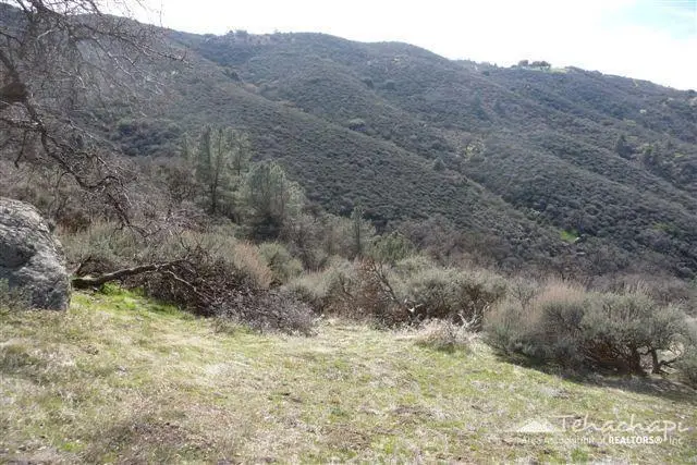 22401 Saddleback Drive, Tehachapi, CA 93561 - #2