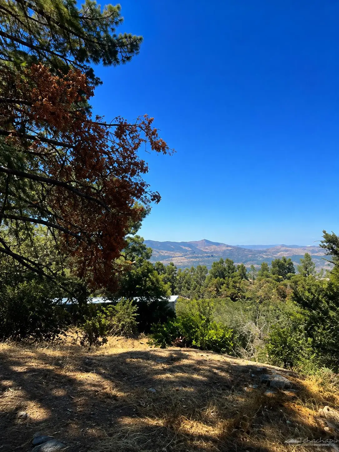 0 Pine Ridge, Tehachapi, CA 93561 - #1