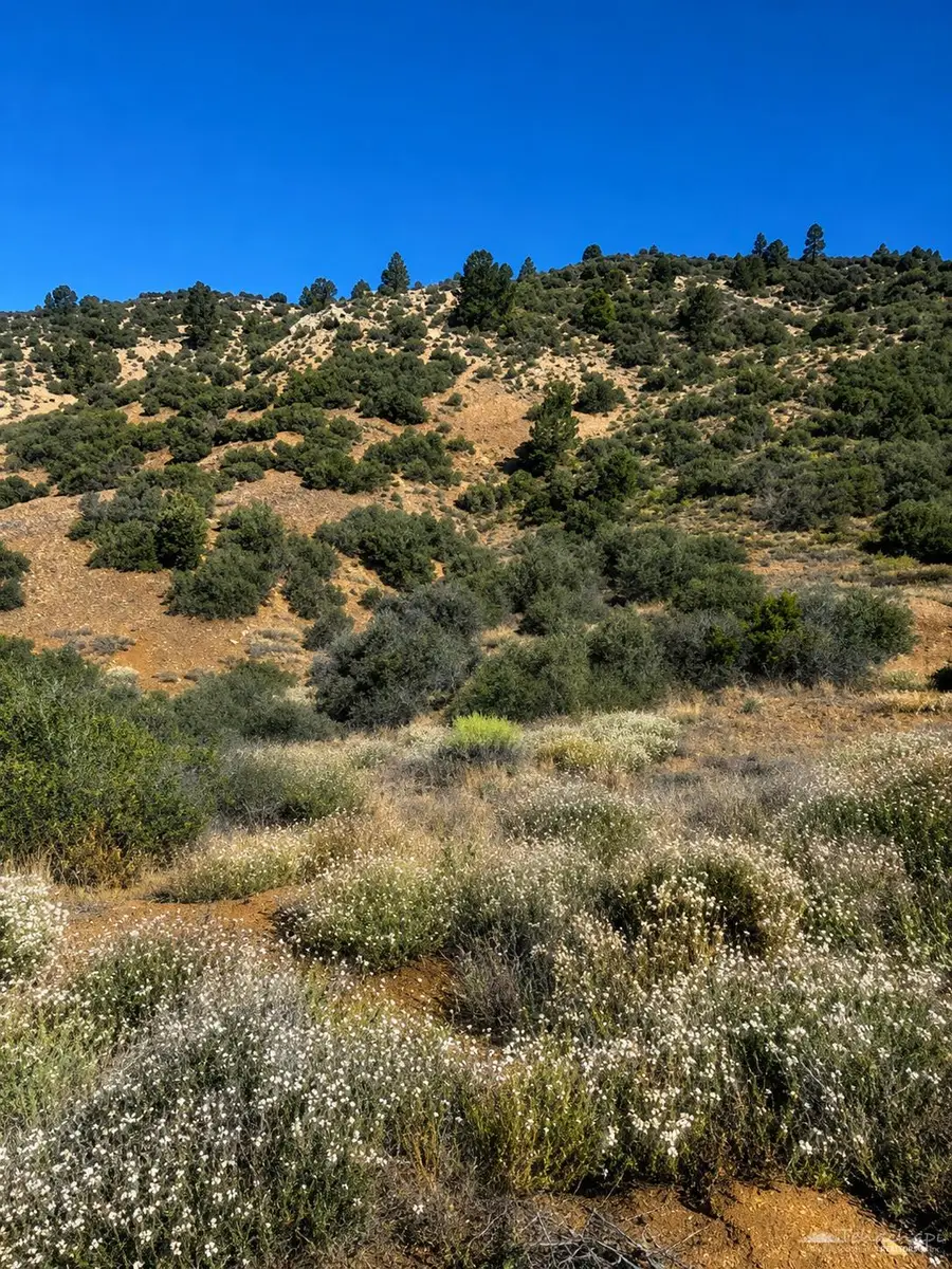 0 Pine Ridge, Tehachapi, CA 93561 - #3
