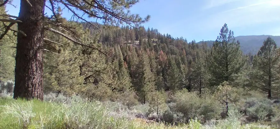 16401 Jungfrau Way, Tehachapi, CA  - #3