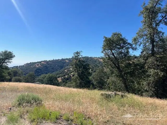 29601 Springwood Court, Tehachapi, CA 93561 - #2