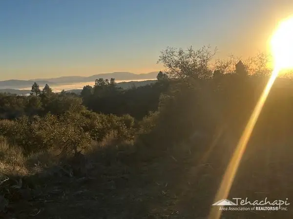 24881 Jacaranda Drive, Tehachapi, CA 
