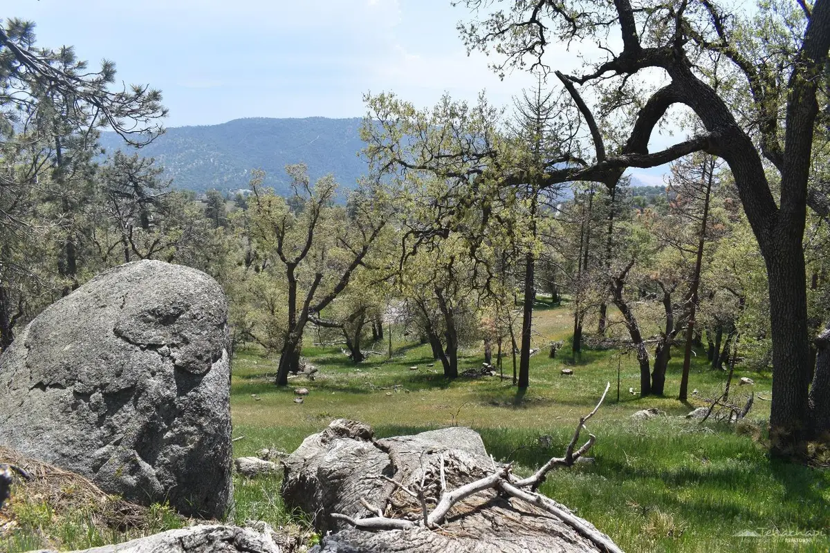 29451 Surrey Way, Tehachapi, CA 93561 - #1
