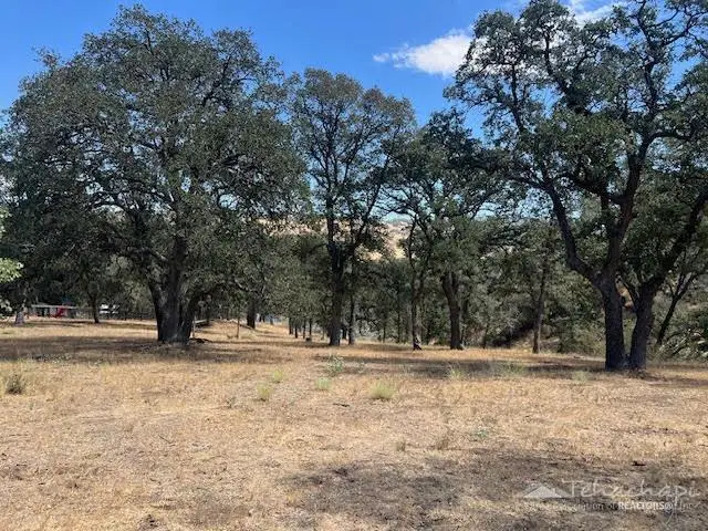 0 St. Moritz Drive, Tehachapi, CA 93561 - #3