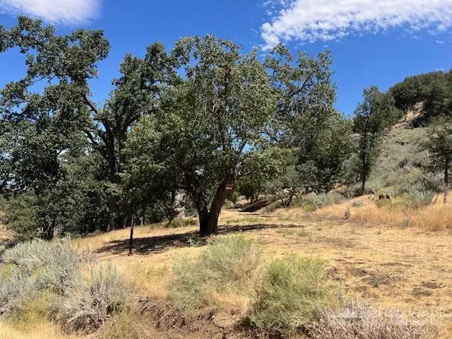 0 St. Moritz Drive, Tehachapi, CA 93561 - #1
