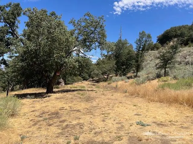 0 St. Moritz Drive, Tehachapi, CA 93561 - #2