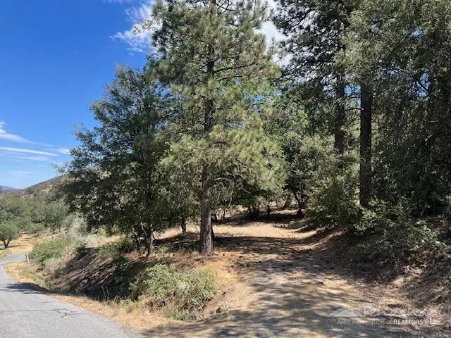 22300 Bernina Way, Tehachapi, CA 93561 - #1