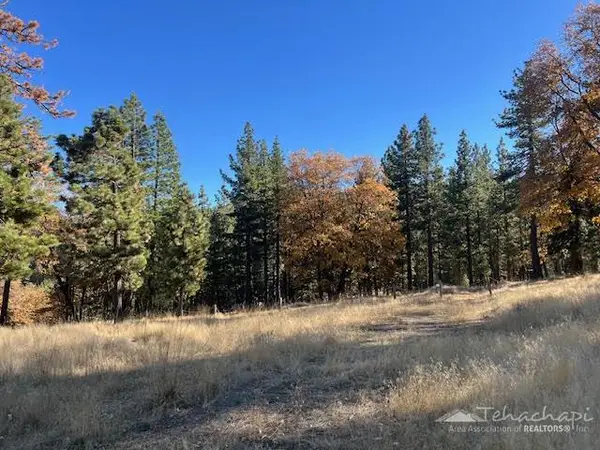 22330 Andermatt Drive, Tehachapi, CA 93561