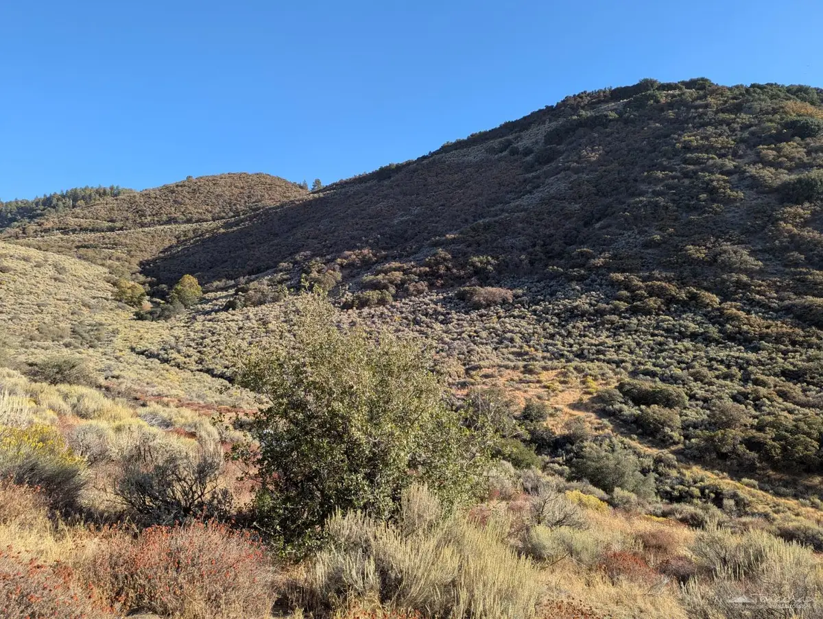 23851 Zermatt Drive, Tehachapi, CA 93561 - #1