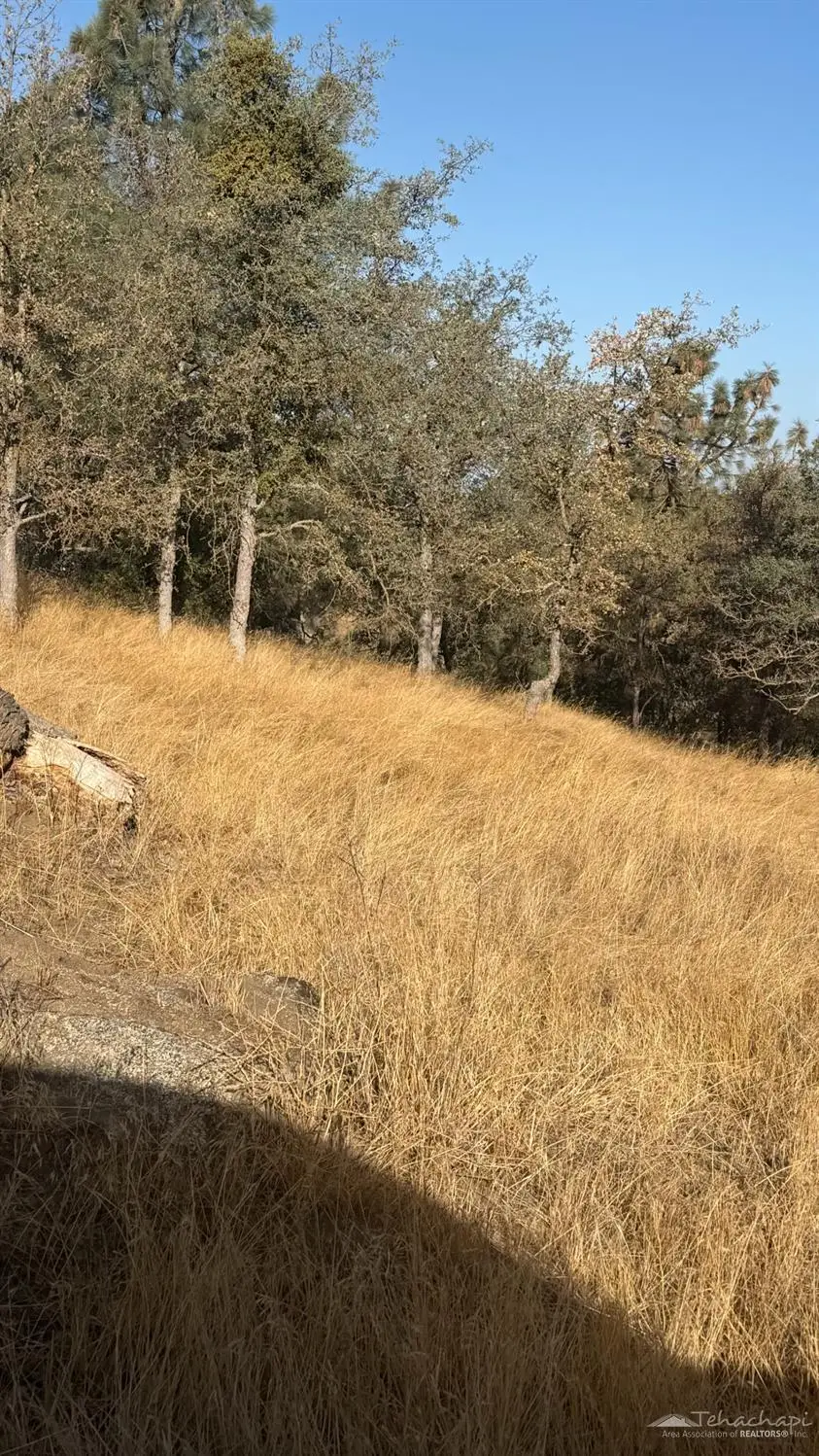 0 Peregrine Pl, Tehachapi, CA 93561 - #2
