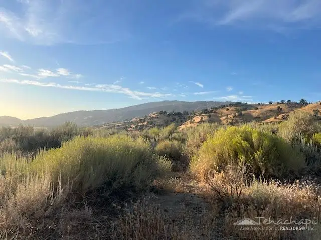 0 Shenandoah, Tehachapi, CA 93561 - #3