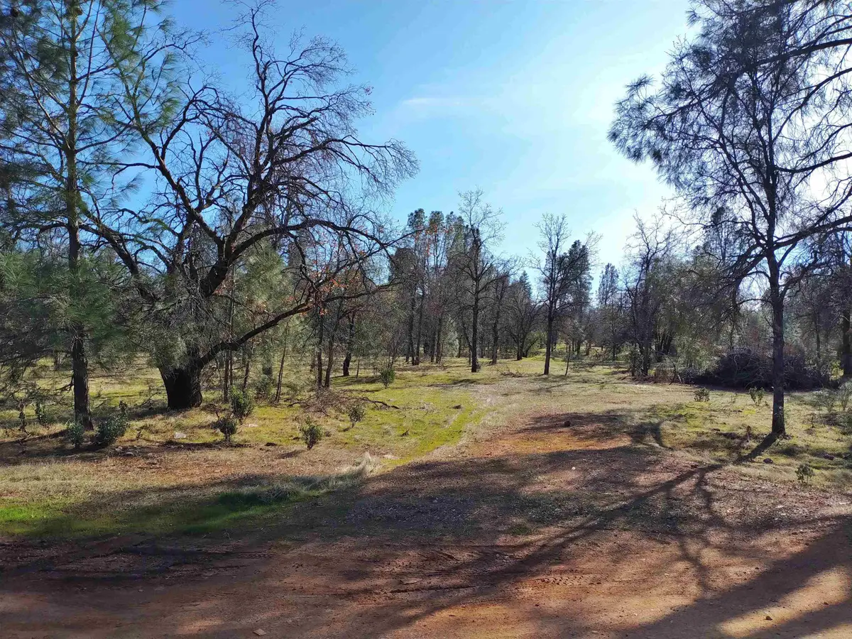 Lot 3 Palm Avenue, Happy Valley, CA 96007 - Image #1