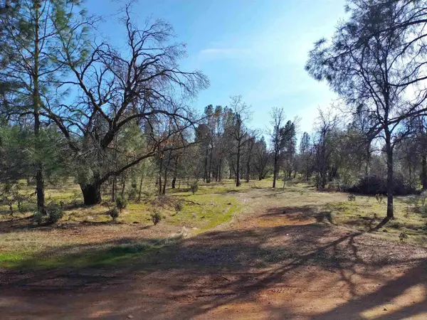 Lot 3 Palm Avenue, Happy Valley, CA 96007