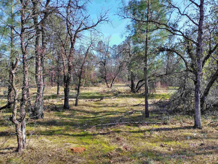 Lot 3 Palm Avenue, Happy Valley, CA 96007 - Image #3