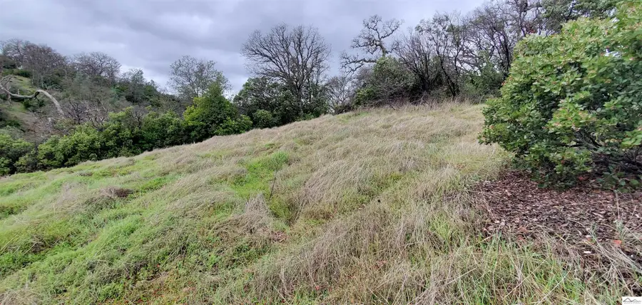 6960 Cougar Drive, Rancho Tehama Reserve, CA 96074 - Image #3