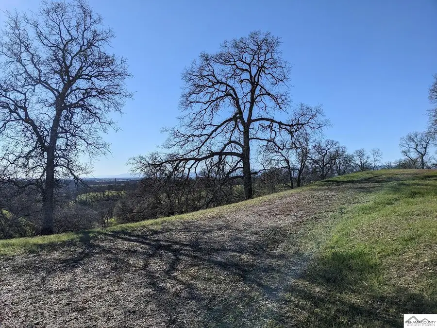 0 Penneleme Road, Red Bluff, CA 96080 - Image #2