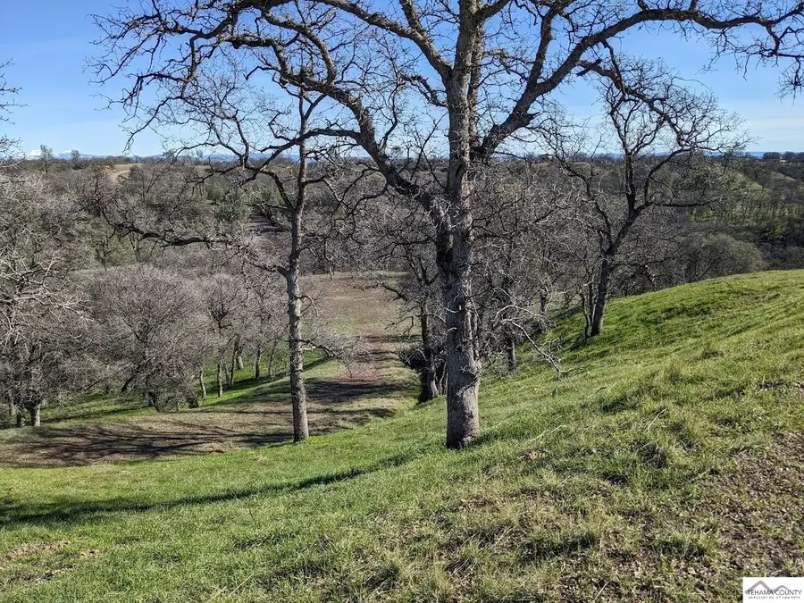 0 Penneleme Road, Red Bluff, CA 96080 - Image #3