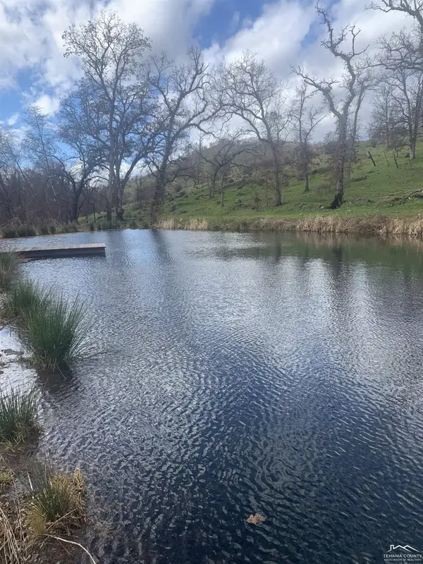 31120 Moulton Loop, Paynes Creek, CA 96075