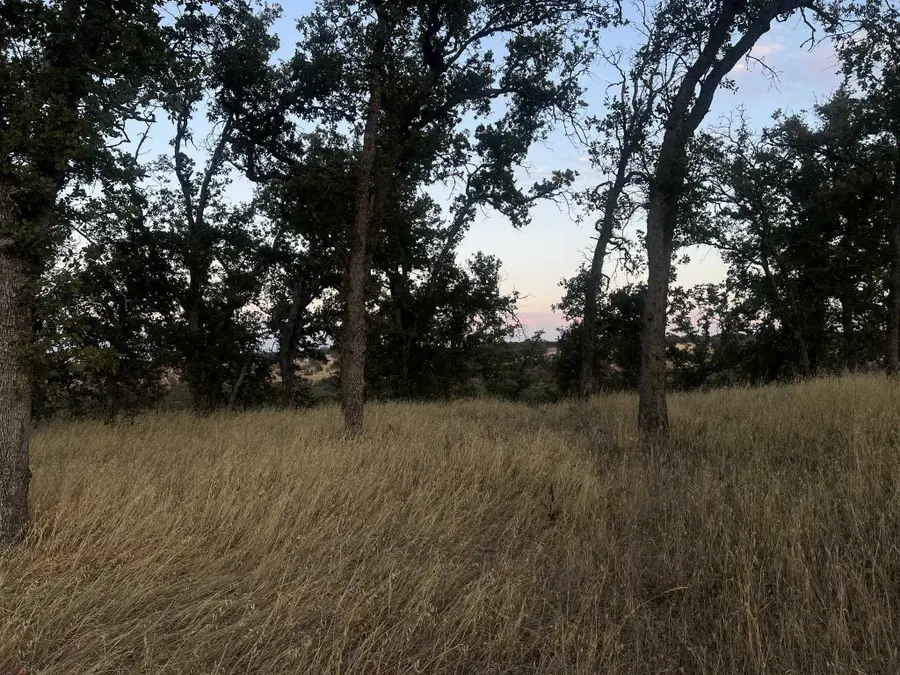 6915 Remunda Road, Corning, CA 96021 - Image #3