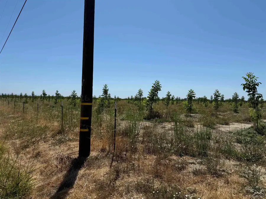 00 Loleta Avenue, Corning, CA 96021 - Image #2