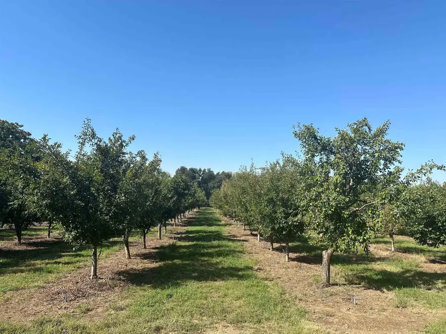 24365 Oklahoma Avenue, Red Bluff, CA 96080 - Image #2