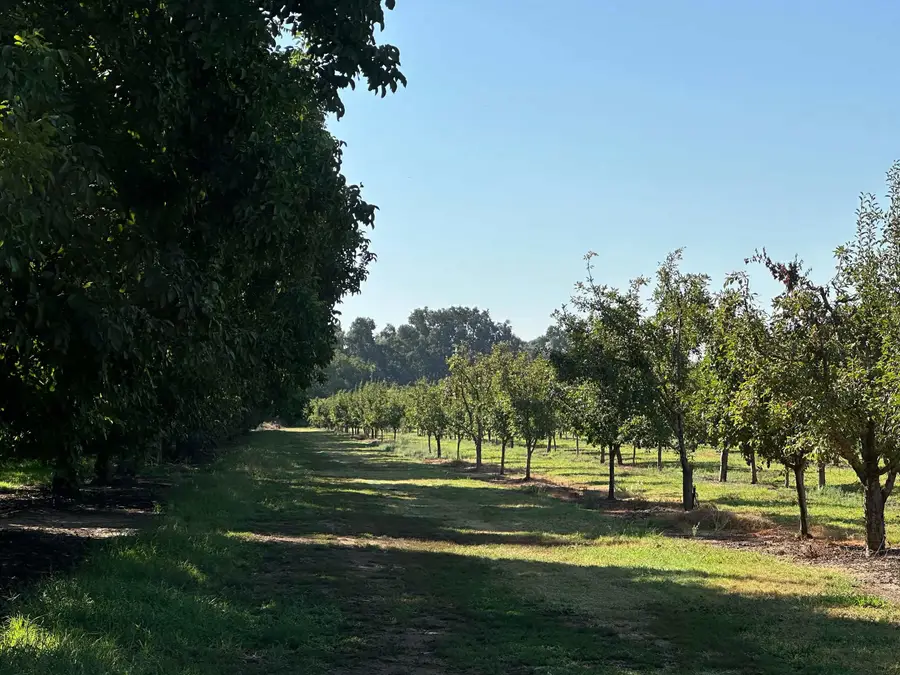 24365 Oklahoma Avenue, Red Bluff, CA 96080 - Image #3