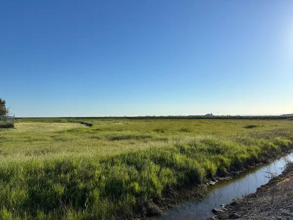 3035 Sankey Road, Sutter, CA 95668