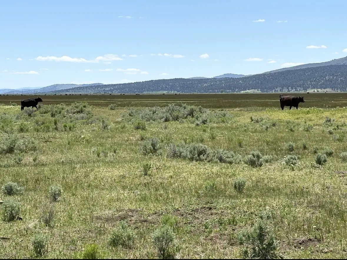 0 Widgen Drive, Madeline, CA 96119 - Image #1