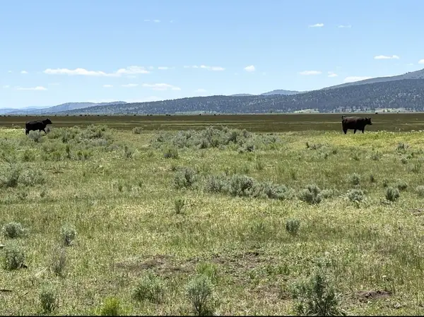 0 Widgen Drive, Madeline, CA 96119