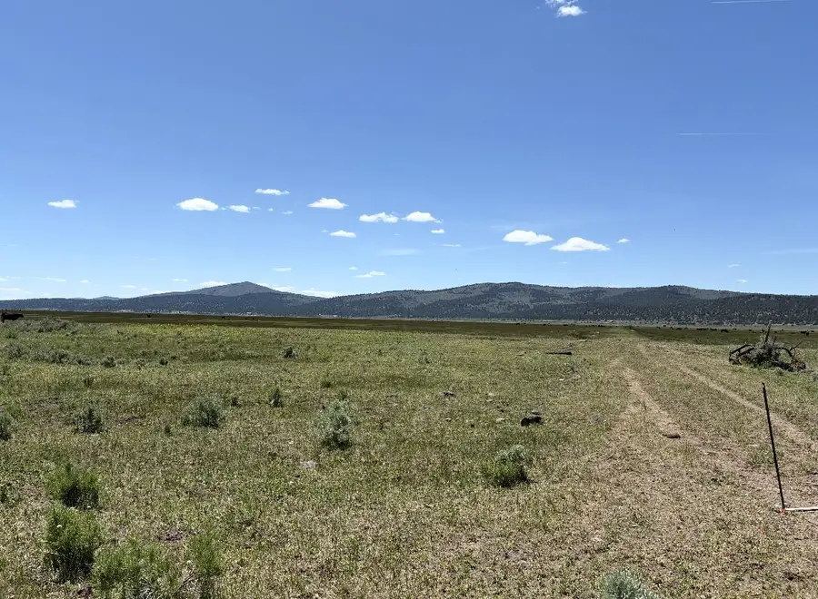 0 Widgen Drive, Madeline, CA 96119 - Image #2