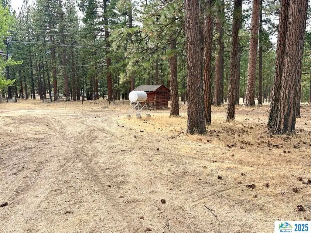 708-510 E Wingfield Road, Janesville, CA 96114 - Image #1