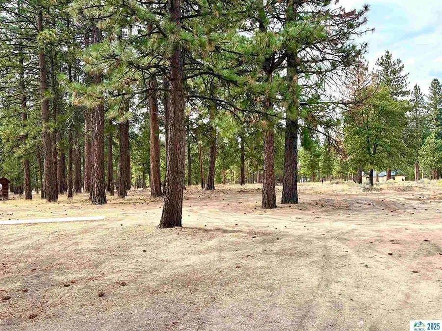 708-510 E Wingfield Road, Janesville, CA 96114 - Image #2