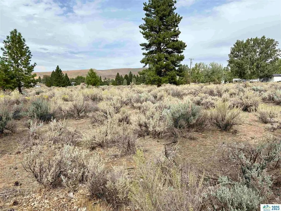 708-510 E Wingfield Road, Janesville, CA 96114 - Image #3