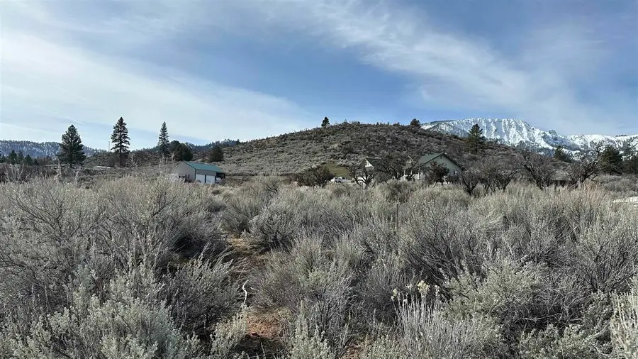 462-950 Jace Drive, Janesville, CA 96114 - Image #2